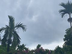-海口火山口国家地质公园