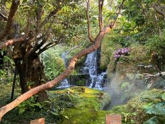 -Chom Cafe and Restaurant