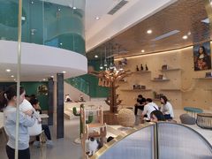 -飞行喵MR PILOT|猫舍·猫咖(静安大融城店)