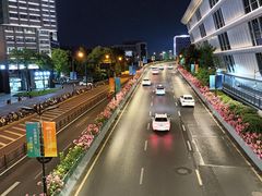 -西湖游船