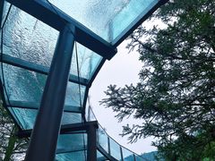 -龙井峡漂流