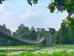 -东湖落雁景区