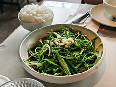 -饱嗝·小炒云南菜·见手青乌鸡汤锅(来凤街国创园店)