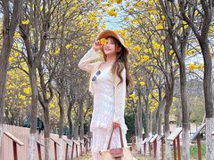 -盈香心动乐园