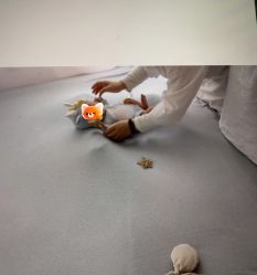 -玛瑞莎孕婴童摄影到家拍