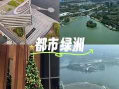 -嘉定凯悦·咖啡厅