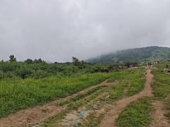 -灵山