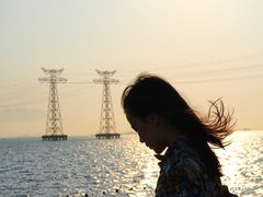 -宝安西湾红树林湿地公园