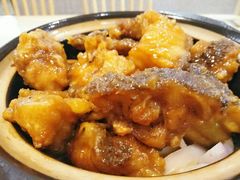 石斑鱼煲-戏台船坞海鲜排档