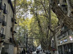 -胖子馄饨坊(天目路店)