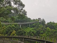 -福道