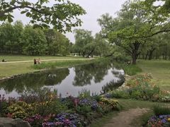 -上海共青森林公园