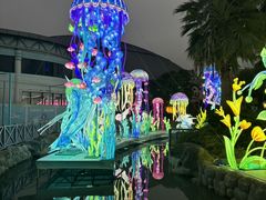 -海合安武汉极地海洋公园