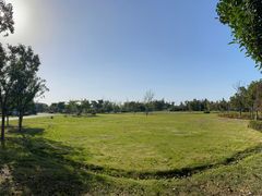 -漩门湾国家湿地公园