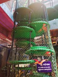 -恐龙探索乐园(磁器口店)