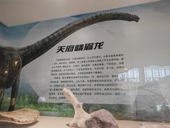 -安徽省地质博物馆