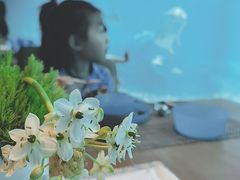 -海棠湾洲际-涛·海底餐厅·美人鱼·自助餐·海底隧道