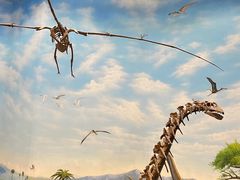 -辽宁古生物博物馆