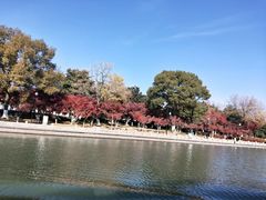 -苏州古运河游船(新市桥码头)