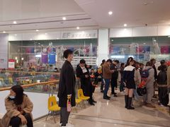 -英孚教育青少儿(南坪中心)