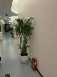 -郑州缔莱美医疗美容医院