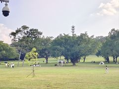 -东莞植物园