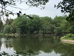-河泥荡文化公园