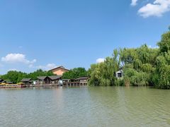 -溱湖国家湿地公园