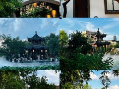 -八一公园
