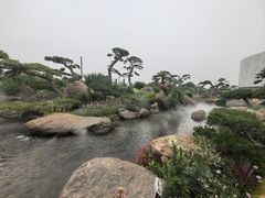 -罗红摄影艺术馆