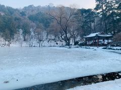 -香山公园