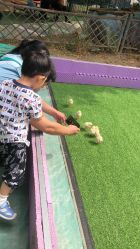 -萌宠亲子动物乐园(槐房万达店)