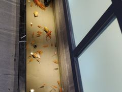 -邵汇大虾火锅(鲁迅路店)