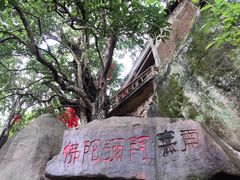 -玻璃桥景区石牛寨