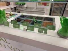 -Salud撒露欧洲冻酸奶(五道口购物中心店)