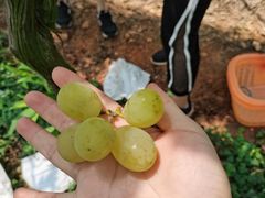 -青龙山国家森林公园