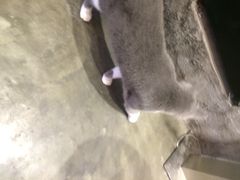 Mikaku(Mikaku万达店)-MIKAKU(万达广场上海宝山店)