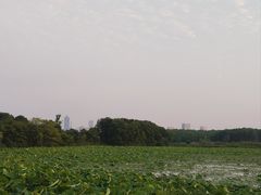 -金银湖国家城市湿地公园