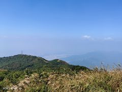 -梧桐山风景名胜区