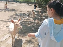 -北京麋鹿生态实验中心