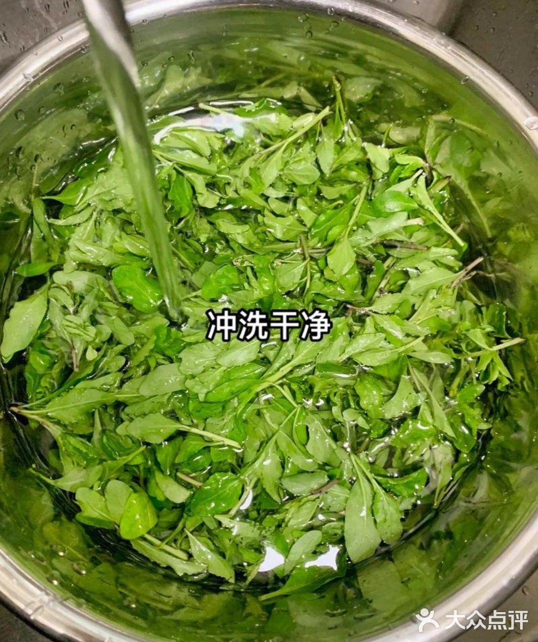舌尖上的春日精灵——枸杞头