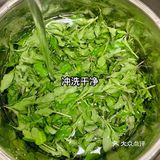 舌尖上的春日精灵——枸杞头