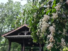 -解香楼(八盘岭路店)