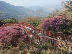 -广州市石门国家森林公园