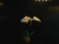 -成都博舍酒店