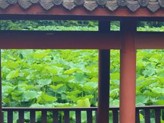 -龙头寺公园