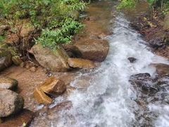 -庆岭迎宾园正宗活鱼馆