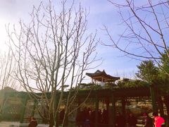 -西海子公园