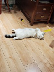 -沫儿·美甲美睫·半永久·皮肤管理