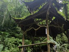 -青城山
